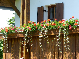 Ferienwohnungen Reitinger in Tiefenbach/OPf.