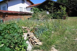 Naturspiel in Pösing
