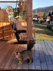 Chalet Hirschgrund in Arrach