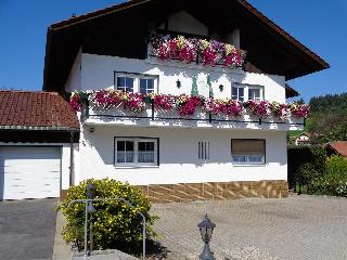 Haus am Berg in Rinchnach