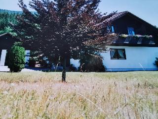 FW Sander in Frauenau