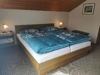 FW Sander in Frauenau