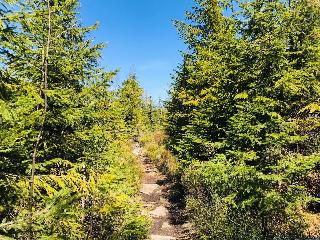  Landurlaub bei Familie Haug in Freyung
