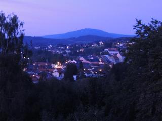 FW Zauberblick in Zwiesel
