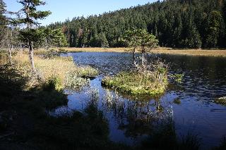 Ferienhaus Corinna / Ferienwohnungen in Kirchdorf i. Wald