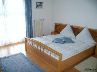 Woidpanorama in Neuschönau