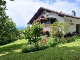 Pension Riedstein in Rinchnach