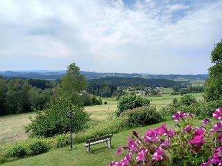 Pension Riedstein in Rinchnach